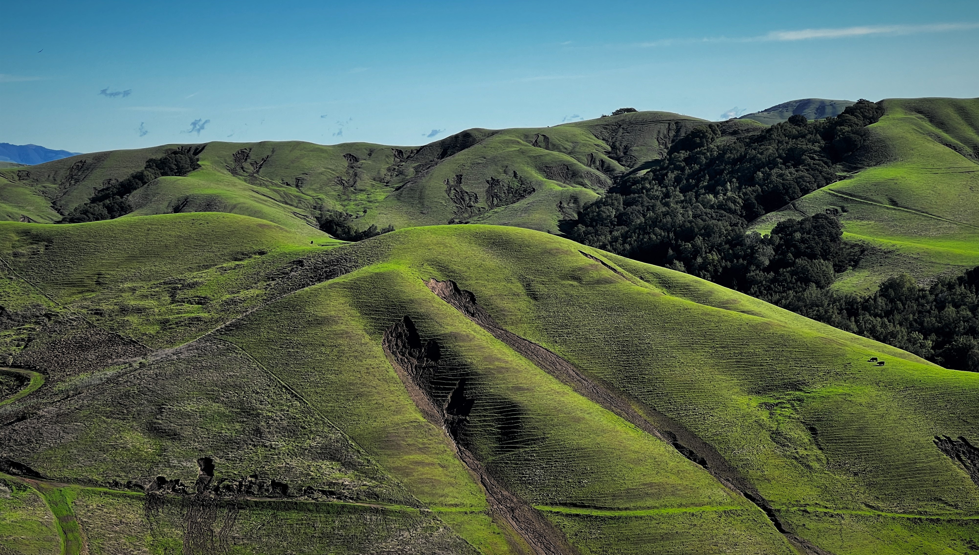 Bay Area landslides